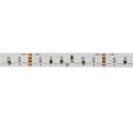 SMD3838 70LEDs/m RGB 24V 8mm LED Strip with High Quality